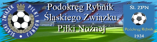 Podokrg Rybnik lskiego Zwizku Piki Nonej