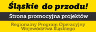 RPO-Promocja