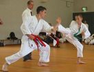 Przed nami V Turniej Karate Kyokushin o Puchar Prezydenta Miasta